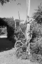 Filename=LT260703.jpg
Filesize=564KiB
Dimensions=681x1024
Date added=Jul 06, 2026 LT260703.jpg