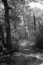Filename=M3240802.jpg
Filesize=625KiB
Dimensions=681x1024
Date added=Aug 14, 2024 M3240802.jpg