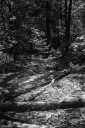 Filename=M3240803.jpg
Filesize=626KiB
Dimensions=681x1024
Date added=Aug 14, 2024 M3240803.jpg