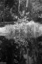 Filename=M3240808.jpg
Filesize=608KiB
Dimensions=681x1024
Date added=Aug 14, 2024 M3240808.jpg