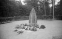 Filename=MA190501.jpg
Filesize=285KiB
Dimensions=800x500
Date added=Jun 03, 2019 MA190501.jpg