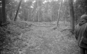 Filename=MA190502.jpg
Filesize=300KiB
Dimensions=800x500
Date added=Jun 03, 2019 MA190502.jpg