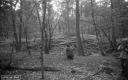 Filename=MA190503.jpg
Filesize=305KiB
Dimensions=800x500
Date added=Jun 03, 2019 MA190503.jpg