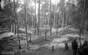 Filename=MA190505.jpg
Filesize=301KiB
Dimensions=800x500
Date added=Jun 03, 2019 MA190505.jpg