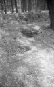 Filename=MA190506.jpg
Filesize=306KiB
Dimensions=500x800
Date added=Jun 03, 2019 MA190506.jpg
