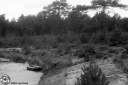 Filename=MA200251.jpg
Filesize=275KiB
Dimensions=800x532
Date added=Mar 05, 2020 MA200251.jpg
