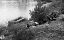 Filename=MA200252.jpg
Filesize=285KiB
Dimensions=800x500
Date added=Mar 05, 2020 MA200252.jpg