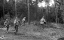 Filename=MA200260.jpg
Filesize=304KiB
Dimensions=800x500
Date added=Mar 09, 2020 MA200260.jpg
