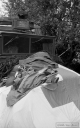 Filename=MG150941.jpg
Filesize=268KiB
Dimensions=500x800
Date added=Mar 17, 2017 MG150941.jpg
