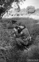 Filename=MG150959.jpg
Filesize=315KiB
Dimensions=500x800
Date added=Mar 17, 2017 MG150959.jpg
