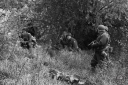 Filename=MG180909.jpg
Filesize=386KiB
Dimensions=800x532
Date added=Sep 20, 2018 MG180909.jpg