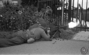 Filename=MG180951.jpg
Filesize=292KiB
Dimensions=800x500
Date added=Sep 20, 2018 MG180951.jpg