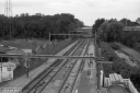 Filename=MO200710.jpg
Filesize=292KiB
Dimensions=800x532
Date added=Jul 27, 2020 MO200710.jpg