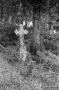 Filename=MO200743.jpg
Filesize=318KiB
Dimensions=532x800
Date added=Jul 28, 2020 MO200743.jpg