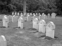 Filename=MO200751.jpg
Filesize=312KiB
Dimensions=800x600
Date added=Jul 29, 2020 MO200751.jpg