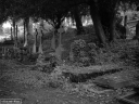 Filename=MO200767.jpg
Filesize=321KiB
Dimensions=800x600
Date added=Jul 30, 2020 MO200767.jpg