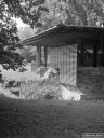 Filename=MO200769.jpg
Filesize=371KiB
Dimensions=600x800
Date added=Jul 30, 2020 MO200769.jpg