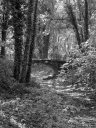 Filename=MO200771.jpg
Filesize=409KiB
Dimensions=600x800
Date added=Jul 30, 2020 MO200771.jpg