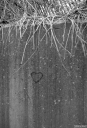 Filename=MO211202.jpg
Filesize=492KiB
Dimensions=700x1024
Date added=Dec 29, 2021 MO211202.jpg