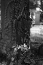 Filename=MO241205.jpg
Filesize=399KiB
Dimensions=681x1024
Date added=Dec 30, 2024 MO241205.jpg