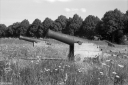 Filename=MT220807.jpg
Filesize=515KiB
Dimensions=1024x681
Date added=Aug 14, 2022 MT220807.jpg