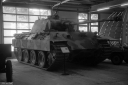 MT260631.jpg
