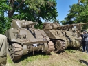 NO240049.jpg
