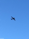 NO240054.jpg