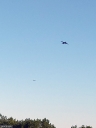 NO240055.jpg