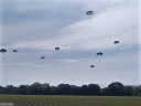 NO240076.jpg