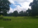 NO240106.jpg