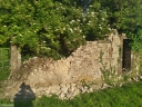 NO240135.jpg