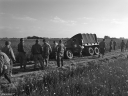NO240147.jpg