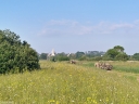 NO240148.jpg