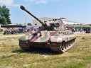 NO240151.jpg