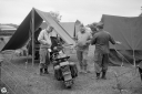 NO240161.jpg