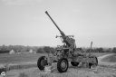 NO240190.jpg