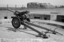NO240192.jpg