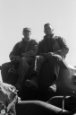 NO240213.jpg