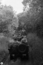 NO240216.jpg