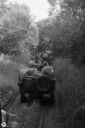 NO240217.jpg