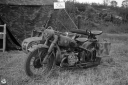 NO240229.jpg