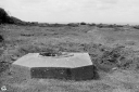 NO240235.jpg