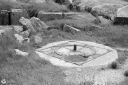 NO240236.jpg