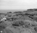 NO240239.jpg