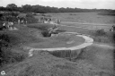 NO240240.jpg