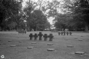 NO240244.jpg