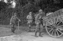 NO240248.jpg