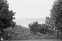 NO240285.jpg