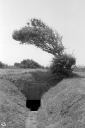 Filename=NO240290.jpg
Filesize=543KiB
Dimensions=681x1024
Date added=Jun 12, 2024 NO240290.jpg